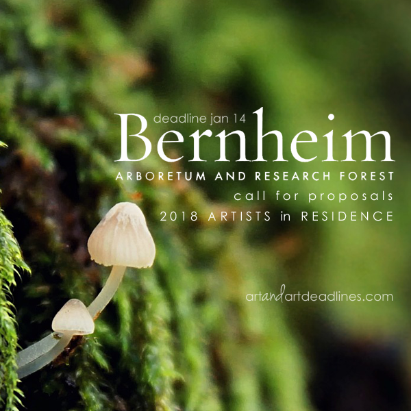 Learn more from the Bernheim Arboretum and Research Forest! 