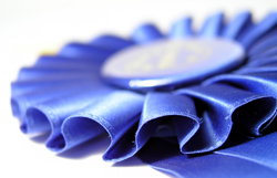 Make yours a Blue Ribbon entry!
