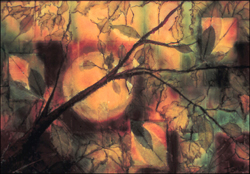 Autumn by Ione Citrin