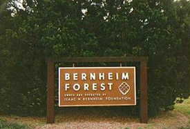 Learn more about the Bernheim Forest!