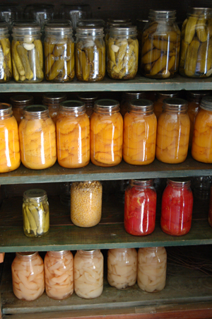 Click Here to Learn How to Stock your Pantry with Art Shows this Winter!