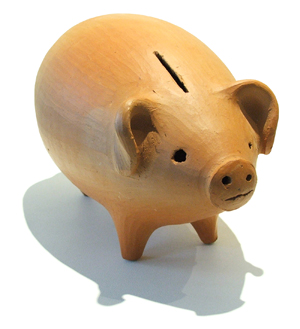 Fellowships are available!