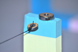 Visit the Adam Lister Gallery!