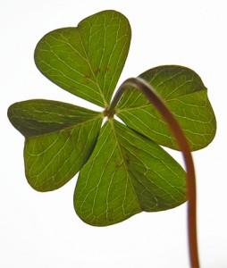 Click Here to Subscribe to this Blog by Email!