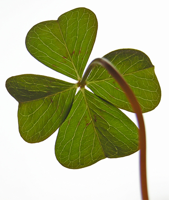 Click Here to Subscribe to this Blog by Email!