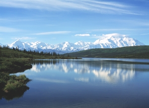 Denali National Park Residency