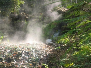 Hot Springs National Park