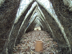 Read the Full Call from I-Park!