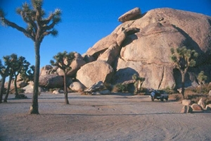 Joshua Tree National Park