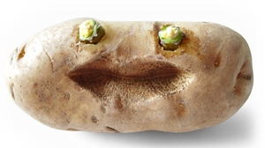 Click Here to Subscribe to ArtAndArtDeadlines.com by email!