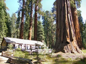 Yosemite National Park