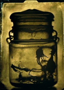 Specimen 5 by Galina Kurlat