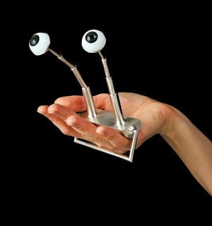 Surprise by Hanna Kim