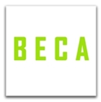 Check out the BECA Foundation online!
