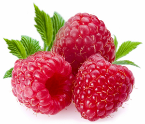 Click the raspberries to Subscribe to www.ArtAndArtDeadlines.com by Email!