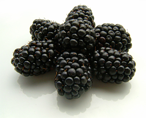 Click to Subscribe to www.ArtAndArtDeadlines.com by Email!