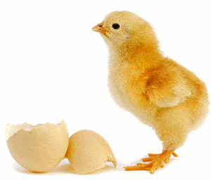 Click to Subscribe to www.ArtAndArtDeadlines.com by Email!