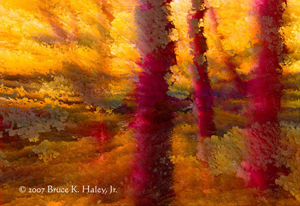 Bursting Forth by juror Bruce K. Haley, Jr.