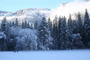 Click to learn more about Yosemite Renaissance!