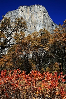 El Capitan in Fall by Mila Zinkova