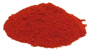 Learn More about Second Space Gallery online!