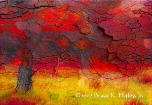 Reaching Out 2 by juror Bruce K. Haley, Jr.