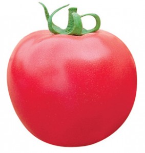 Check out the 2011 National Juried Exhibit