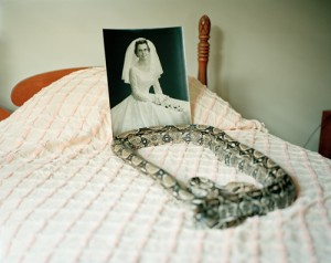 Snakes on my Childhood Bed by Susan Worsham ONWARD 2010!