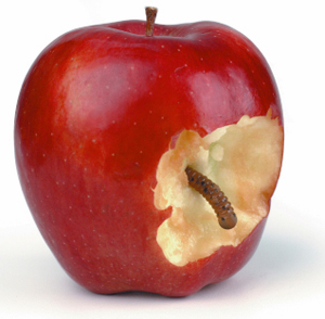 Click to visit the Rejection Page!