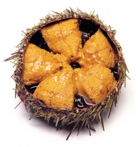 Click to Subscribe to www.ArtAndArtDeadlines.com by Email!