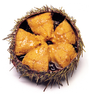 Click to Subscribe to www.ArtAndArtDeadlines.com by Email!