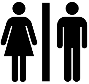 Download the Prospectus for Gender Matters/Matters of Gender!