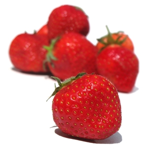 Click to Subscribe to wwwArtAndArtDeadlinescom by Email!