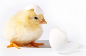 Click to Subscribe to www.ArtAndArtDeadlines.com by Email!