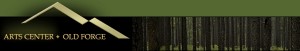 Learn more about the Arts Center Old Forge online!