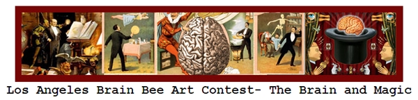 Learn more about the Los Angeles Brain Bee Art Contest!