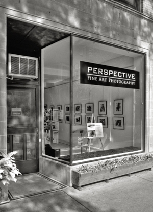 Learn more about the Perspective Gallery online!