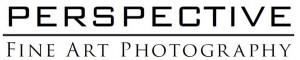 Visit the Perspective Gallery online!