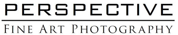 Visit the Perspective Gallery online!