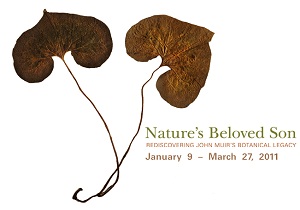 Check out the current and upcoming exhibits at the Bedford Gallery!