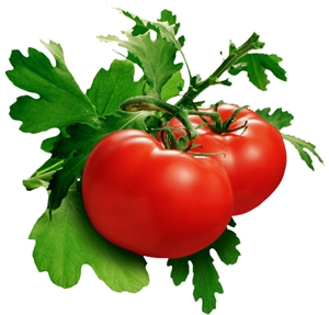 Click to Subscribe to www.ArtAndArtDeadlines.com by Email!