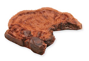 Click to Subscribe to www.ArtAndArtDeadlines.com by Email!