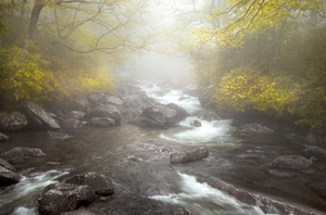 See the winning photographs from Nature Undisturbed 2010!