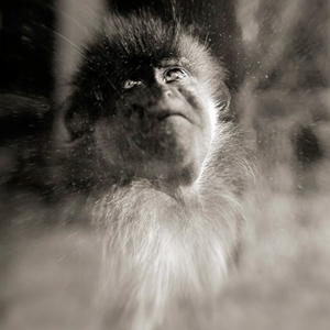 See the winning photographs from Nature Undisturbed 2010!