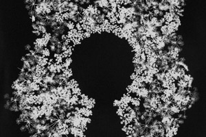 Untitled Photography by Juror Laurie Snyder!