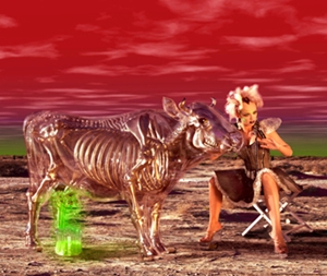 Learn more about Digital Concept Digital Construct show at the Dark Room Gallery