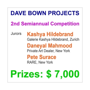 Learn more about the 2nd SemiAnnual Competiton from Dave Bowns Projects!