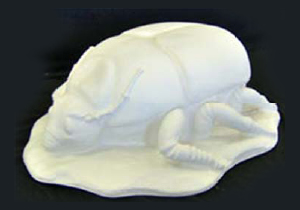 Learn more about the Beetle Art Project in Frisco Colorado!