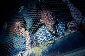 Learn more about the Haunted Basement at The Soap Factory!