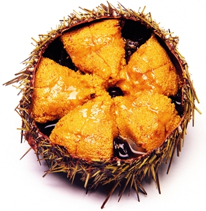 Click to Subscribe to www.ArtAndArtDeadlines.com by Email!